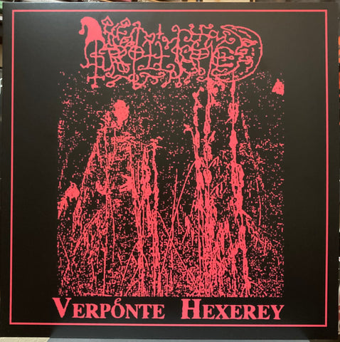 Grollfried – Verpoͤnte Hexerey LP
