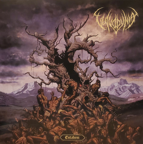 Vulvodynia – Entabeni LP