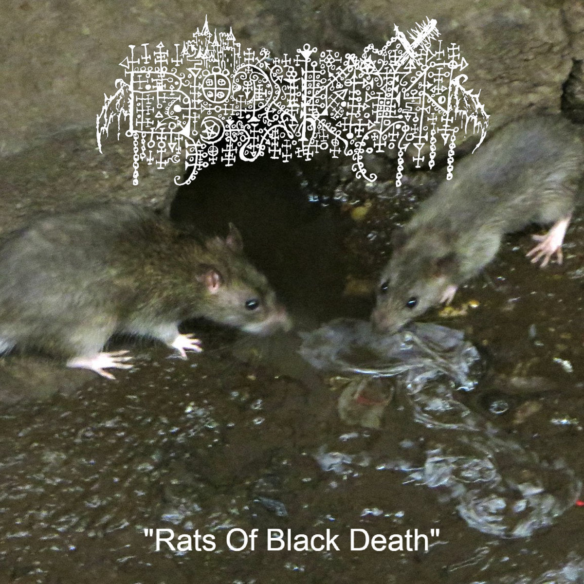 Bloody Keep - Rats Of Black Death TAPE