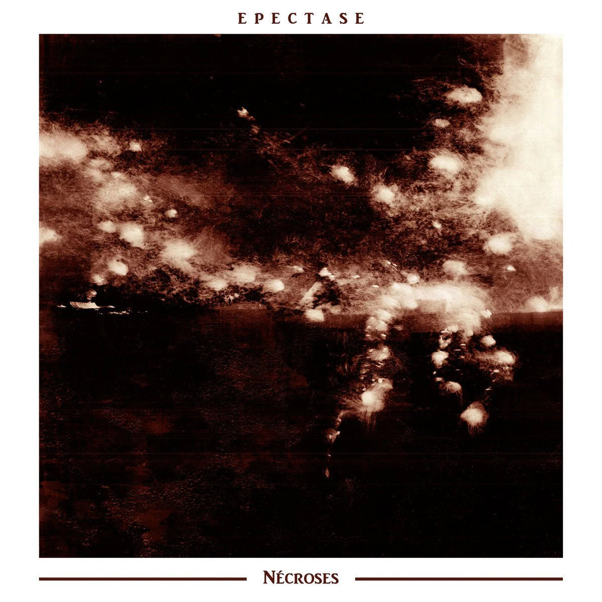 Epectase - Nécroses LP